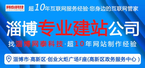 淄博网泰科技 专业网站建设与在线咨询，助力周村企业技术推广
