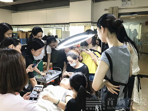 合肥技术咨询与推广服务费发票开具指南