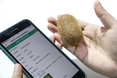 大数据赋能乡村振兴 技术推广的新路径